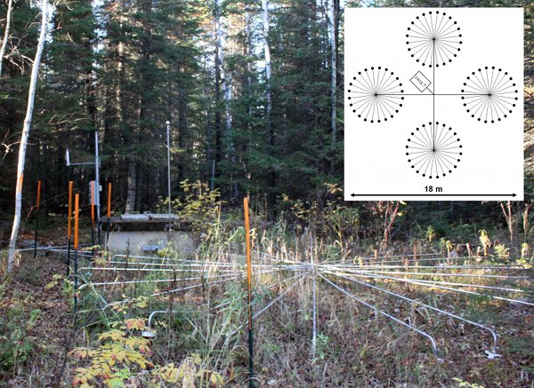 Infrasound installation in the woods with an inlay blueprint showing four rays attached to the central vault.  Overall 15 meters wide.